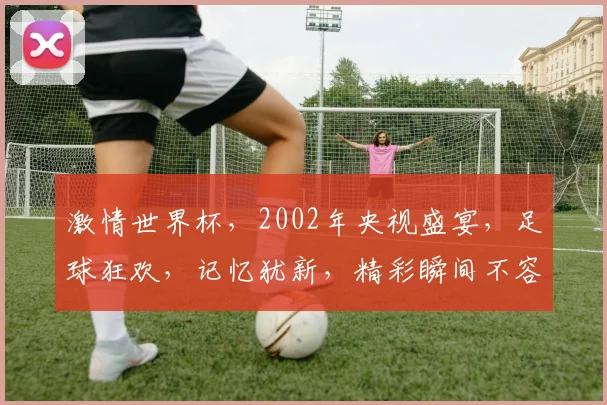 激情世界杯，2002年央视盛宴，足球狂欢，记忆犹新，精彩瞬间不容错过，共赏