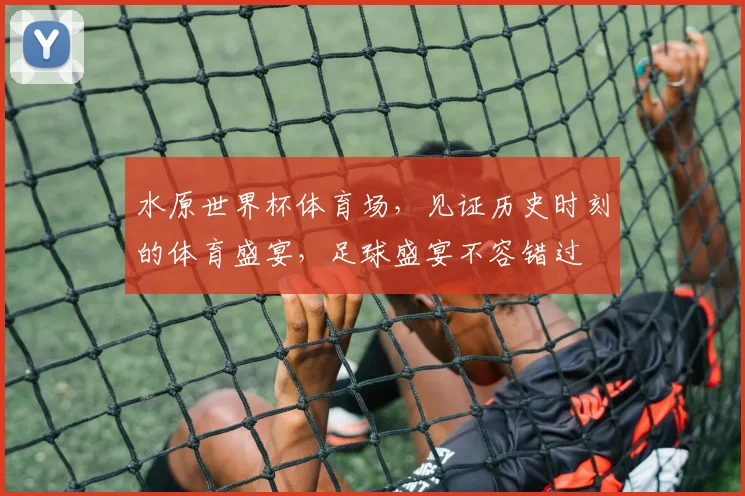 水原世界杯体育场，见证历史时刻的体育盛宴，足球盛宴不容错过
