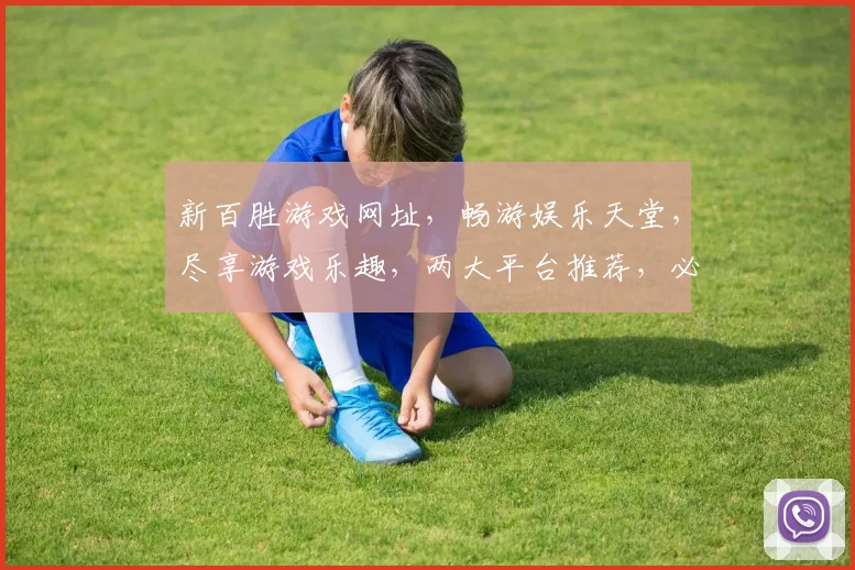 新百胜游戏网址，畅游娱乐天堂，尽享游戏乐趣，两大平台推荐，必选之选